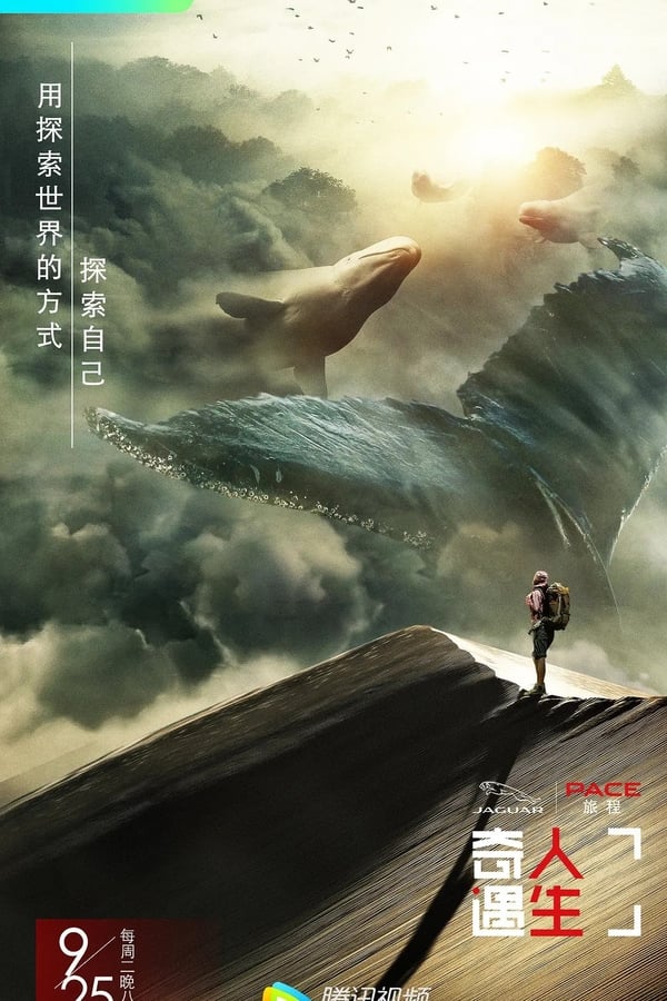 电影《奇遇人生》的海报