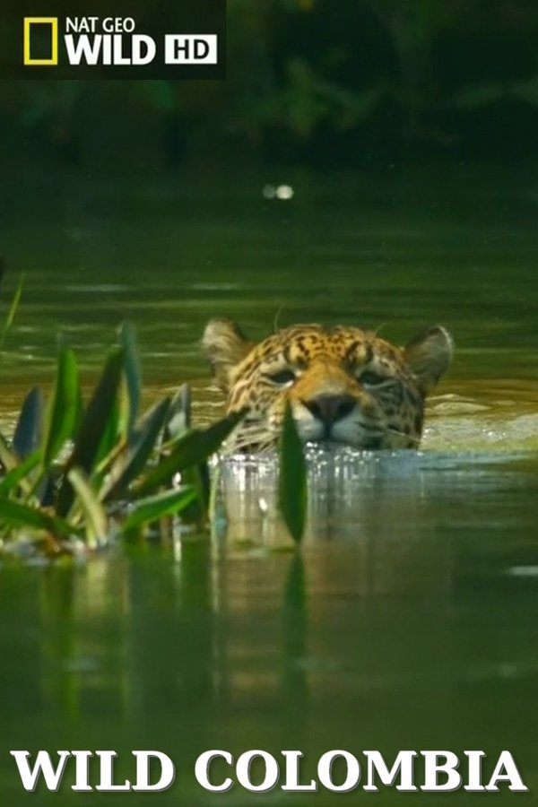 国家地理 野性哥伦比亚