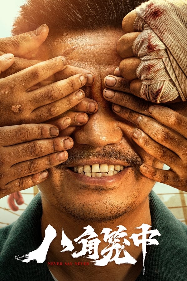 《八角笼中》的海报