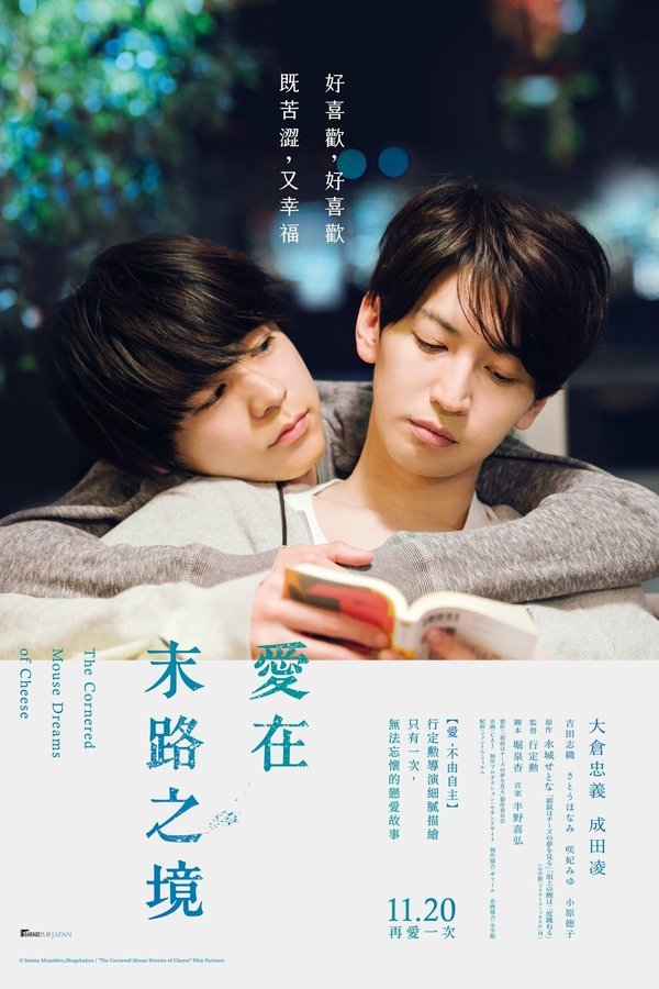 穷途鼠的奶酪梦