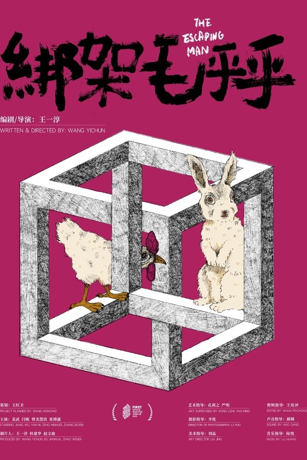 《绑架毛乎乎》的海报