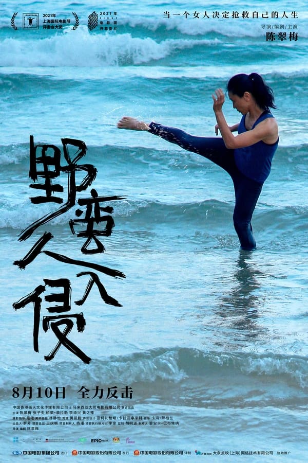 电影《野蛮人入侵》的海报