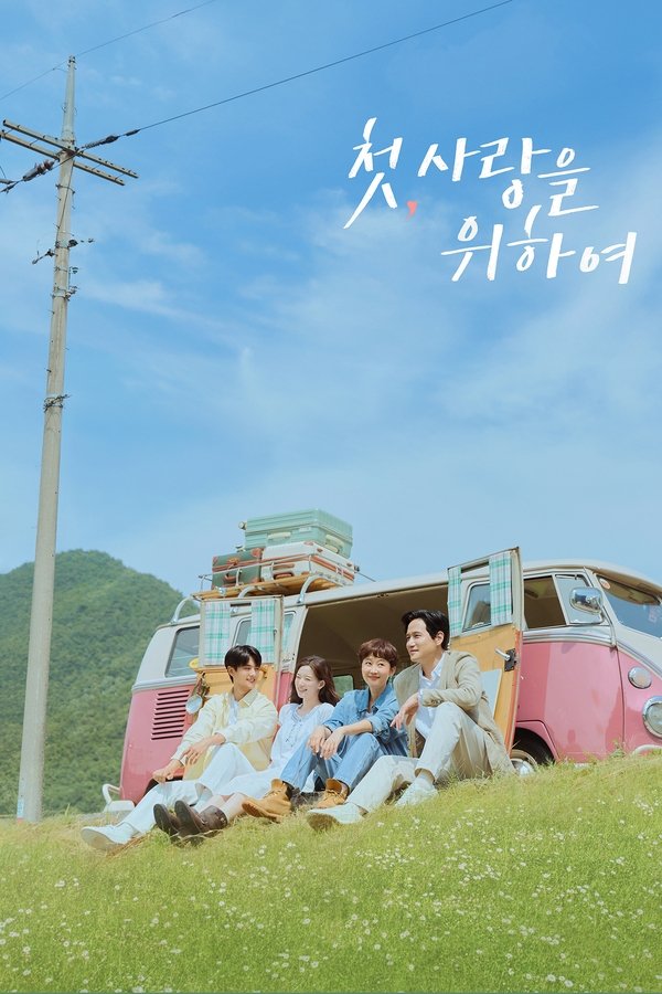 《初次，为了爱》的海报