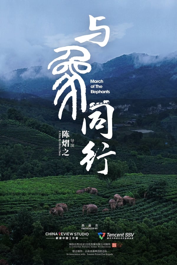 电影《与象同行》的海报
