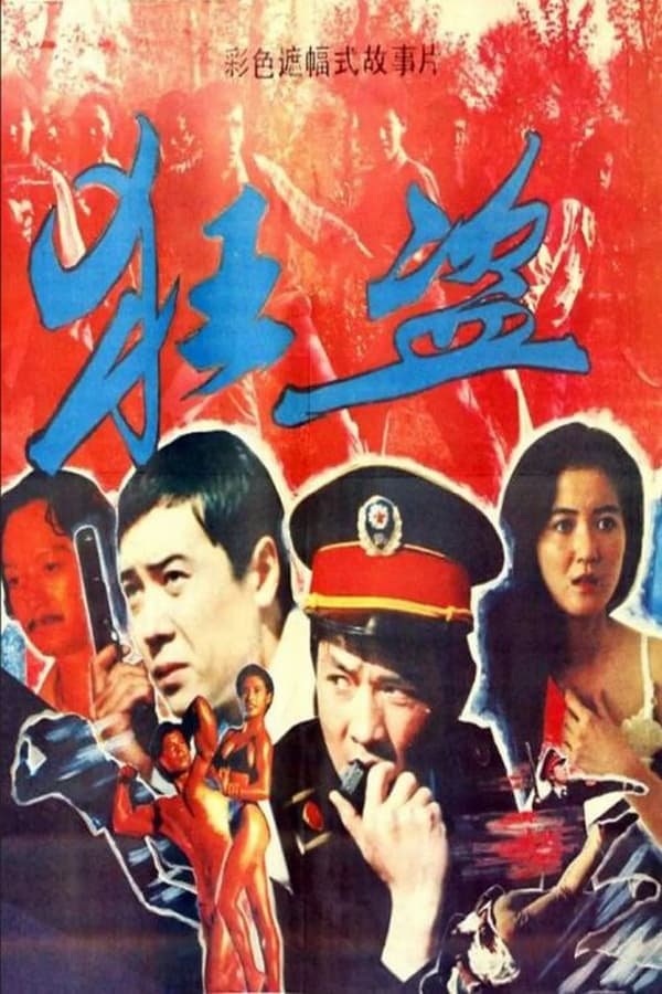 电影《狂盗》的海报
