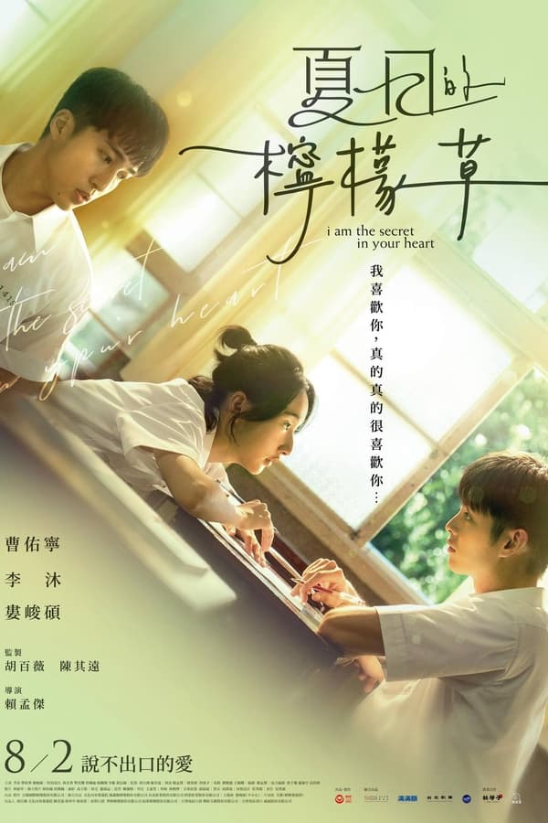 电影《爱你很久很久》的海报