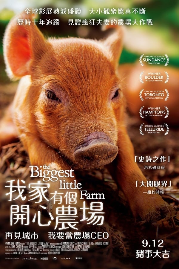 电影《最大的小小农场》的海报