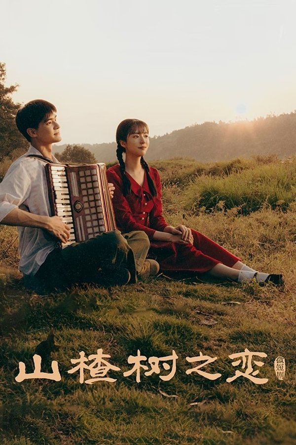 电影《山楂树之恋》的海报