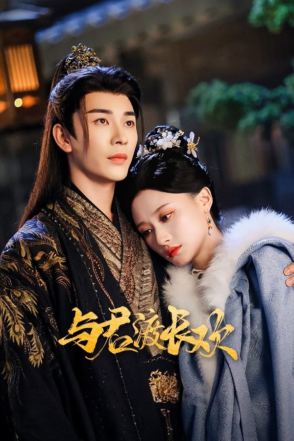 《与君渡长欢》的海报