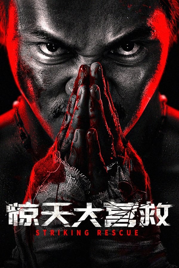 电影《惊天大营救》的海报