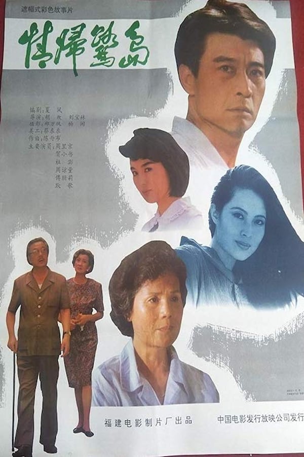 电影《情归鹭岛》的海报