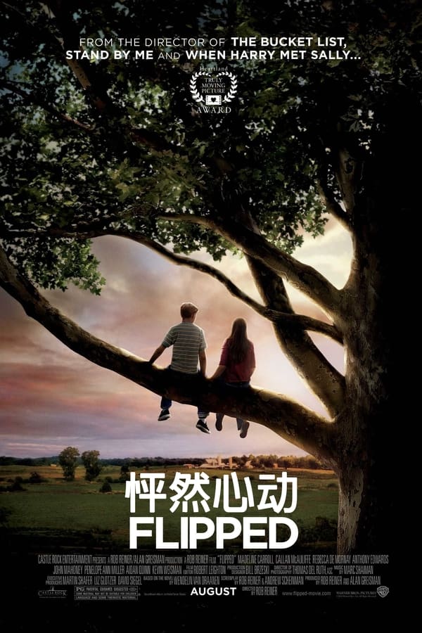 电影《怦然心动》的海报