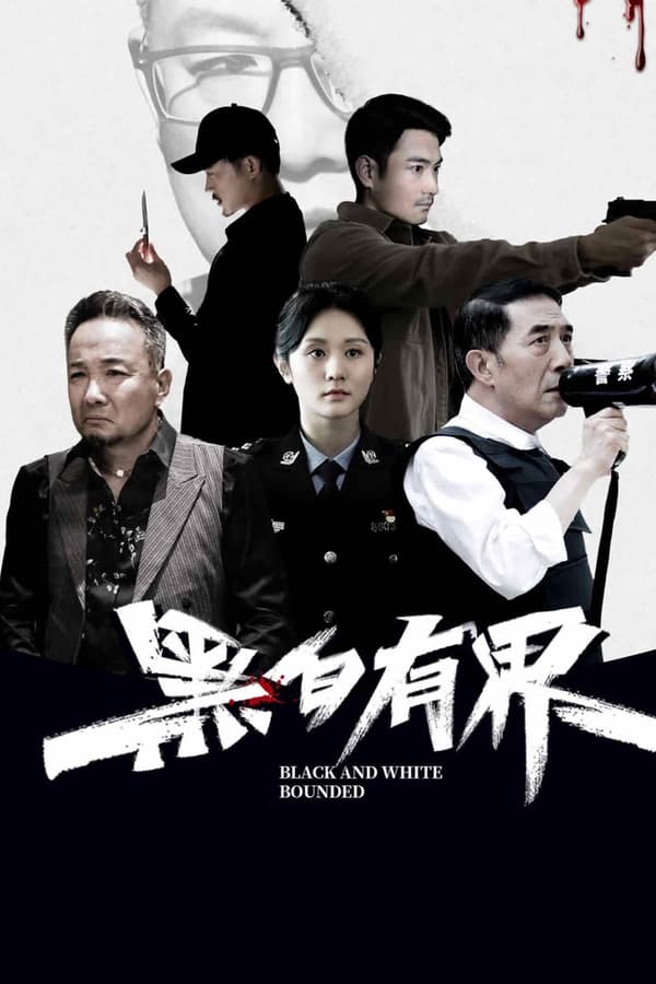 电影《黑白有界》的海报
