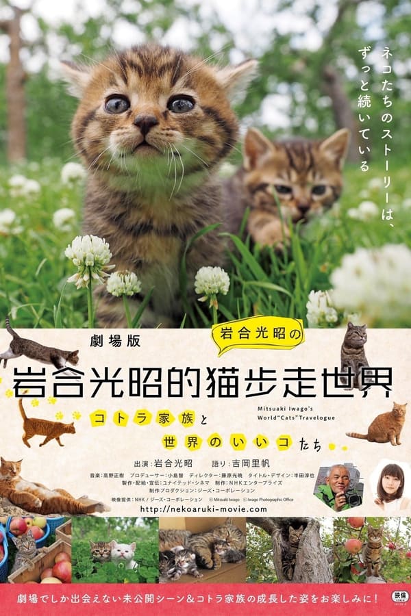 电影《岩合光昭的猫步走世界》的海报