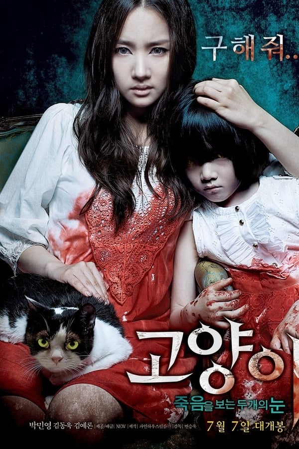 猫：看见死亡的双眼