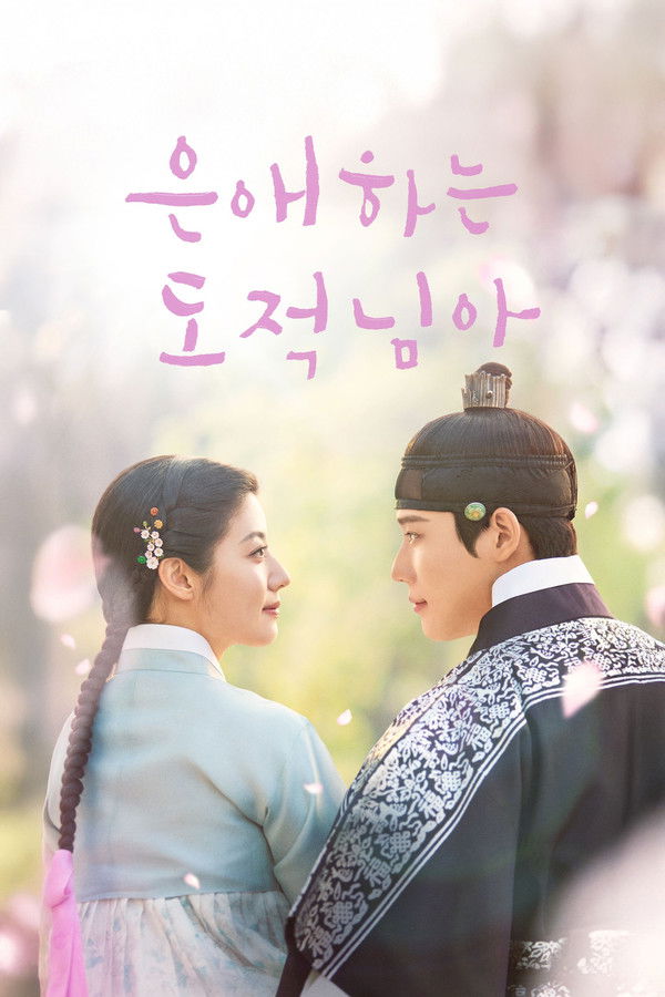 恩爱的盗贼大人