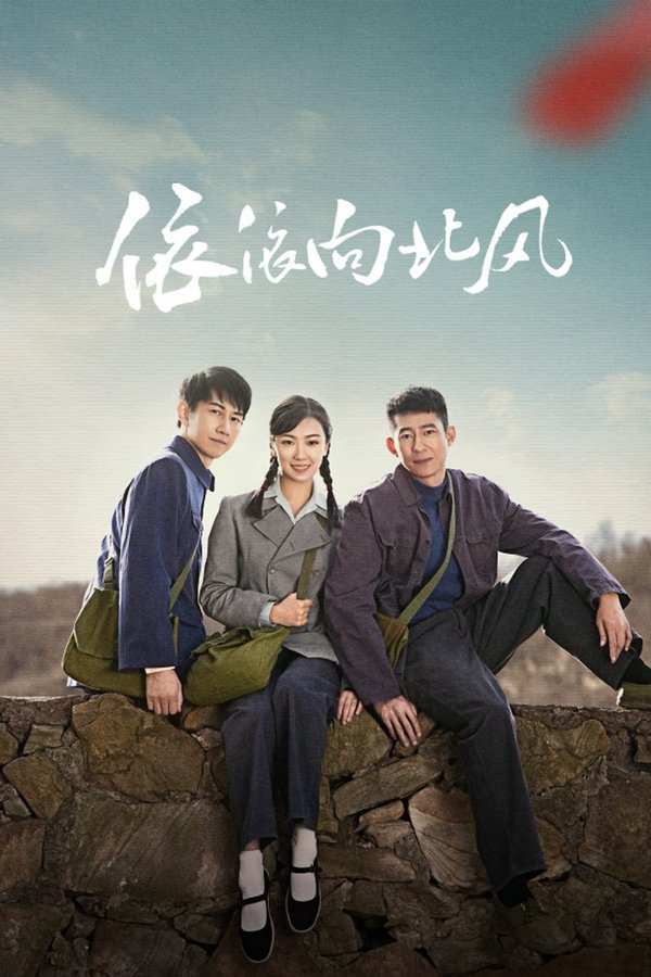 《依依向北风》的海报