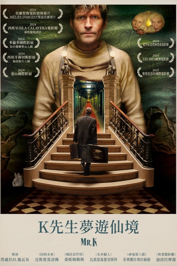 《K先生》的海报