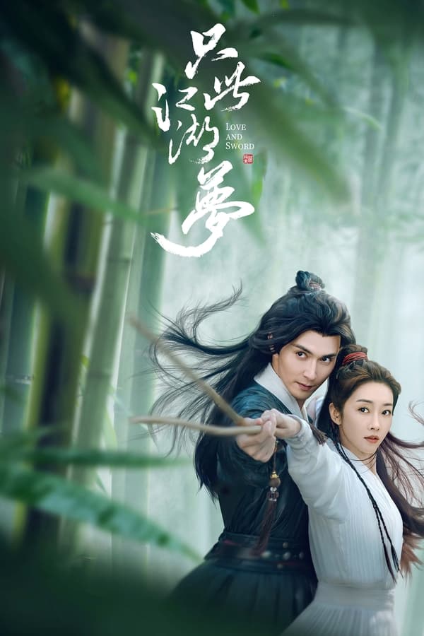 电影《只此江湖梦》的海报