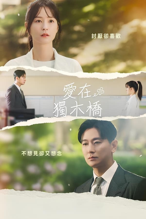 电影《爱在独木桥》的海报