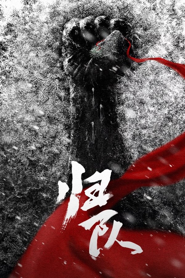 《归队》的海报