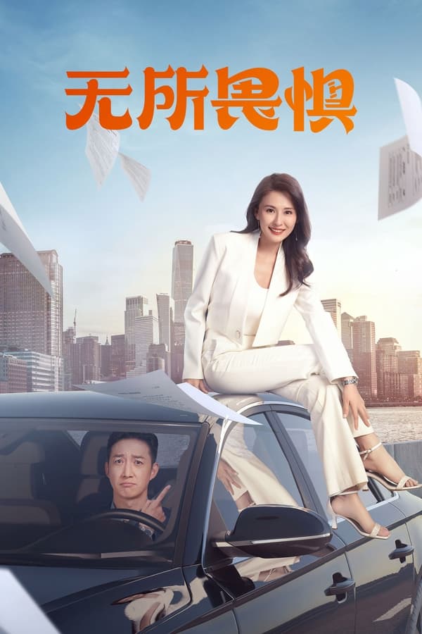 电影《无所畏惧》的海报