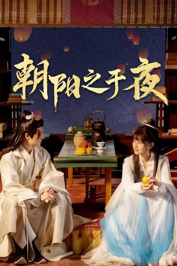 电影《朝阳之于夜》的海报
