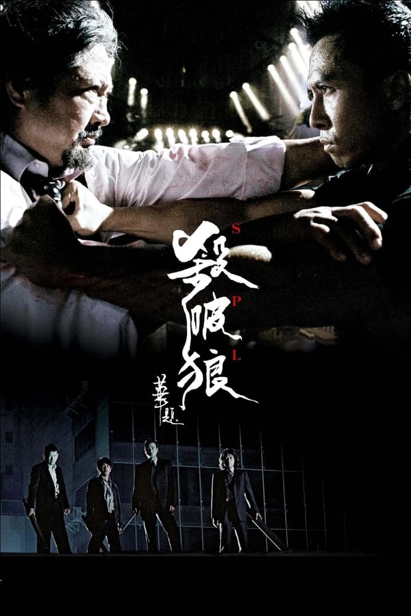 电影《杀破狼》的海报