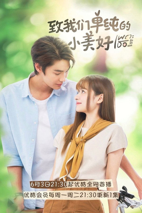 致我们单纯的小美好