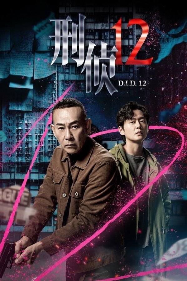 电影《刑侦12》的海报