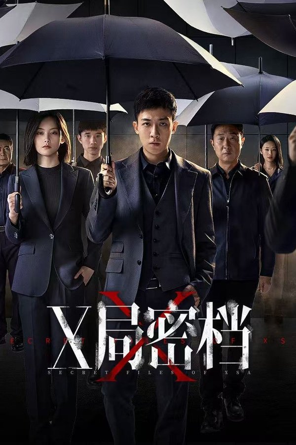 电影《X局密档》的海报