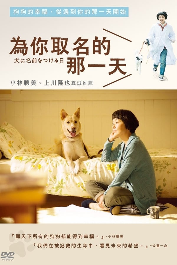 电影《为你取名的那一天》的海报