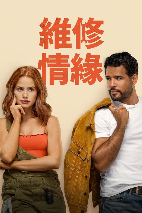 《需要维护的爱》的海报