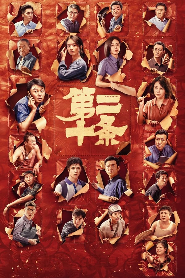 电影《第二十条》的海报