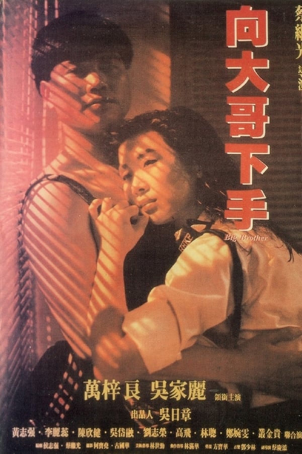 《铁汉柔情》的海报