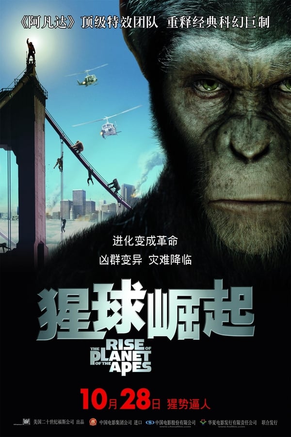 电影《猩球崛起》的海报