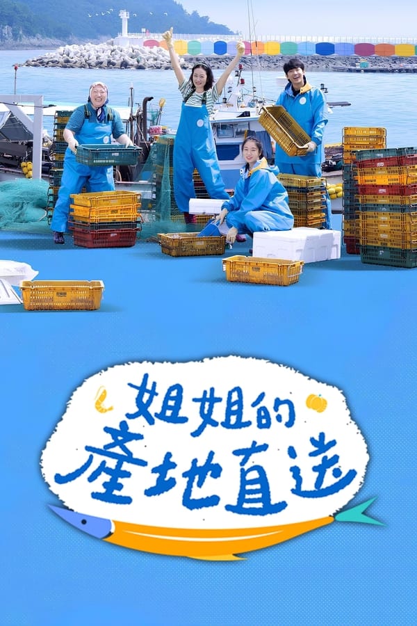 电影《姐姐家的产地直送》的海报