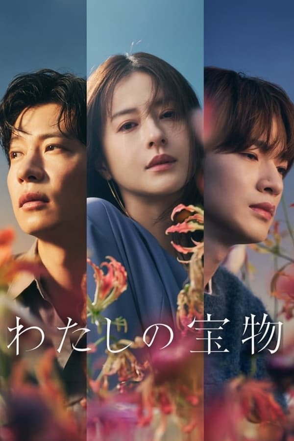 电影《我的宝物》的海报