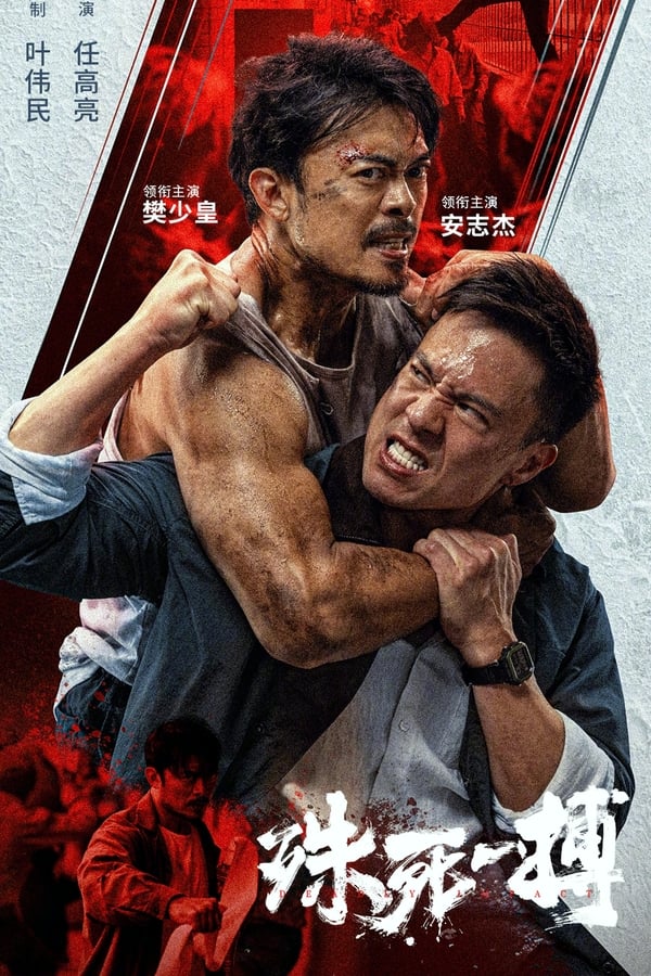 电影《殊死一搏》的海报