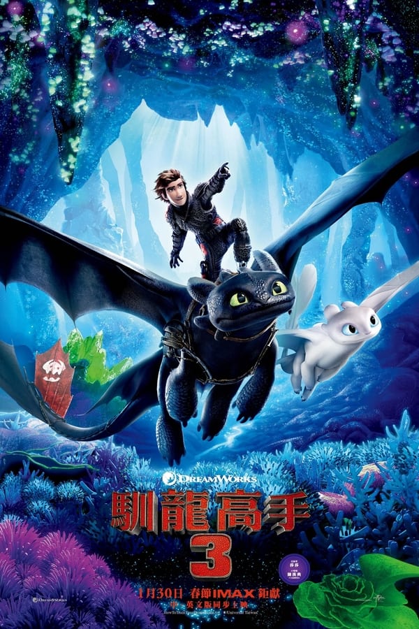 电影《驯龙高手3》的海报