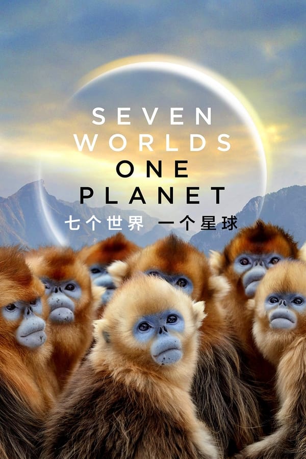 电影《七个世界，一个星球》的海报