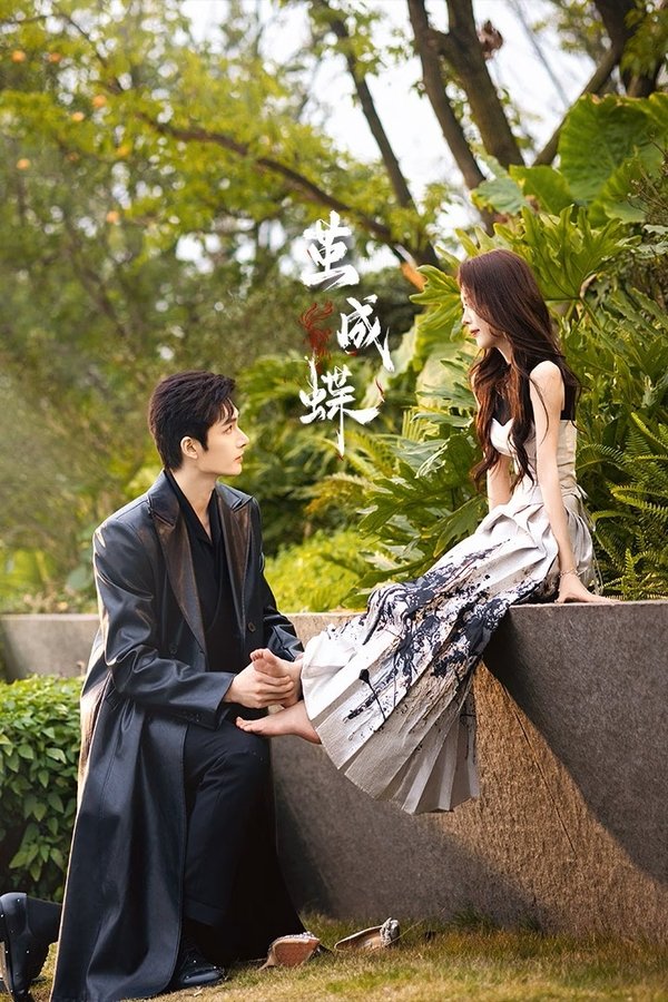 《茧成蝶》的海报