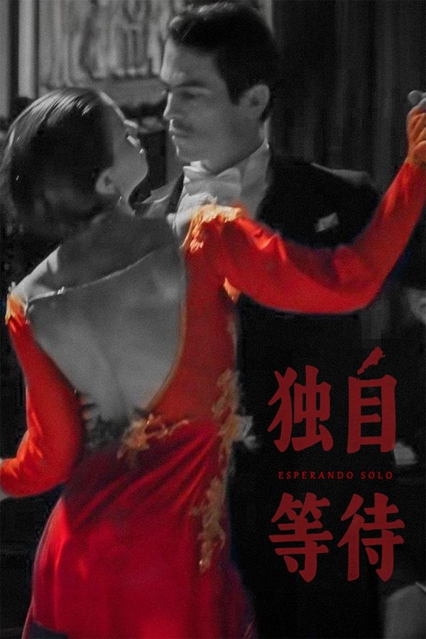 电影《美洲大宝荐：独自等待》的海报