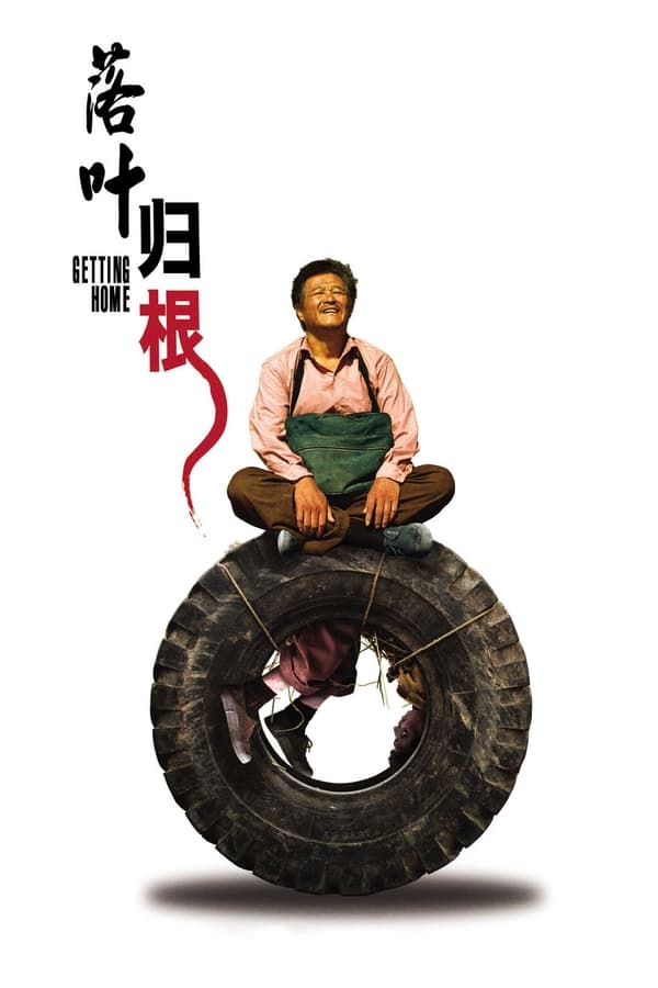 电影《落叶归根》的海报