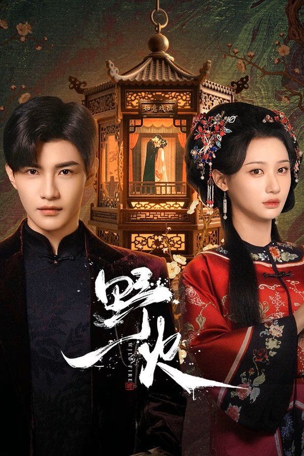 《野火》的海报