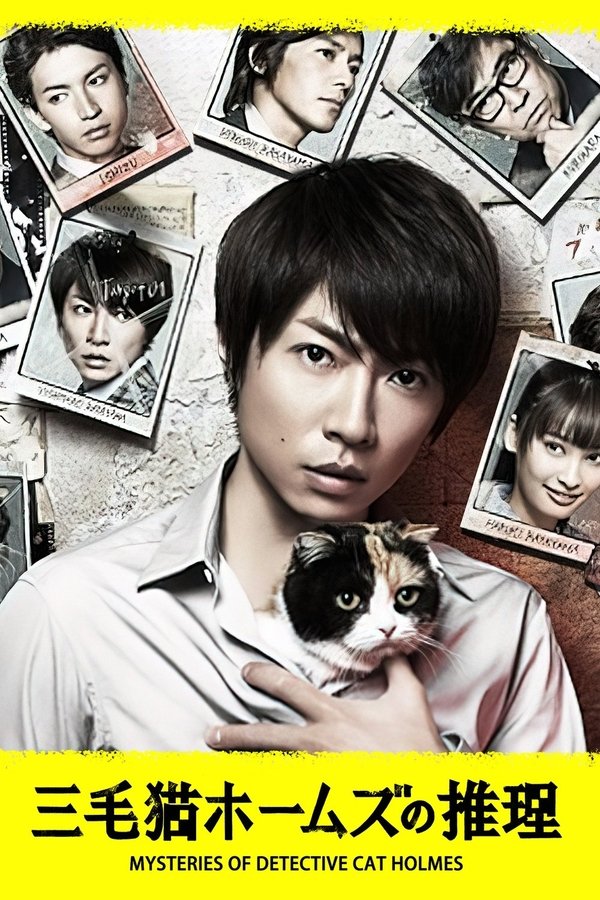 三花猫福尔摩斯的推理