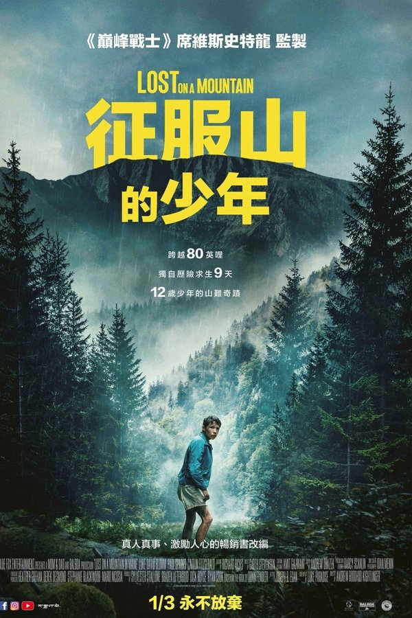 电影《迷路》的海报