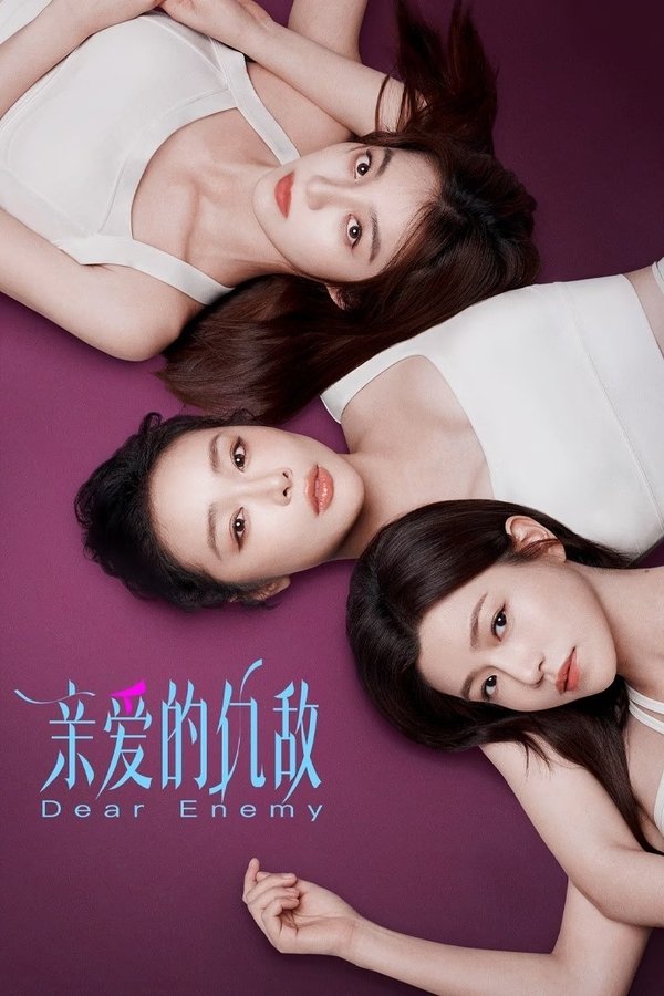 电影《亲爱的仇敌》的海报