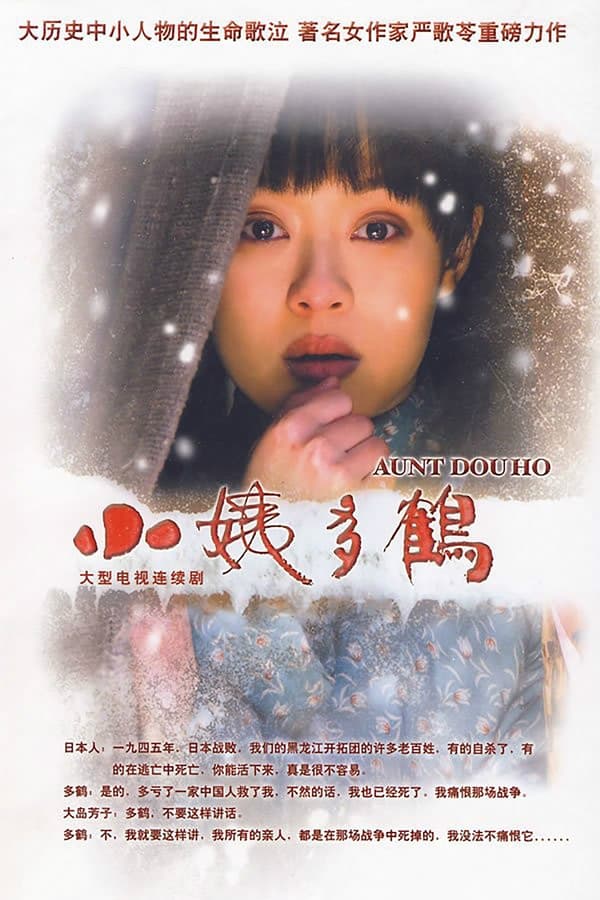 电影《小姨多鹤》的海报
