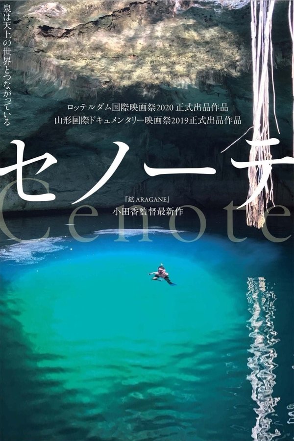 《沉洞泉》的海报